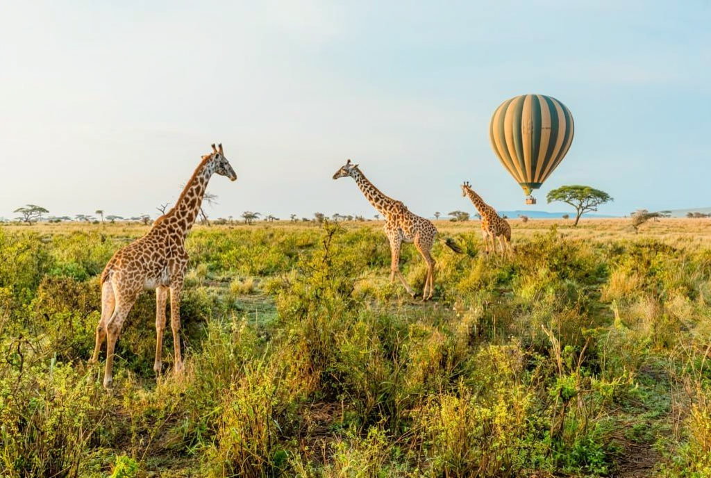 3 Days Serengeti Safari with Hot Air Balloon